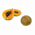 Poudre de papaye lyophilisée
