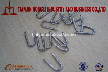 Manufacturer sell U shaped fence stample nails