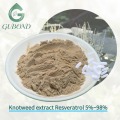 Extracto de Knotweed Fuente natural Resveratrol Nutricional