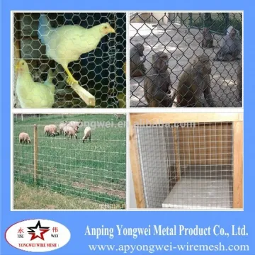 YW-Anping Hexagonal Mesh/Hexagonal Wire Netting/Chicken Wire Mesh