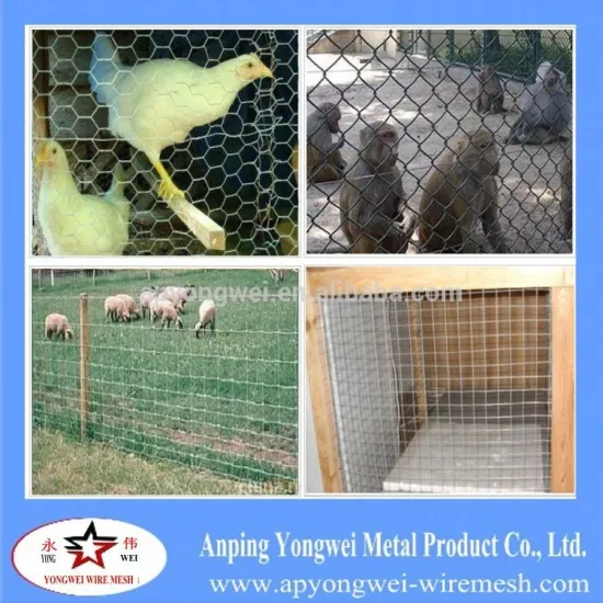 YW-Animal breeding use lowest price hexagonal wire mesh