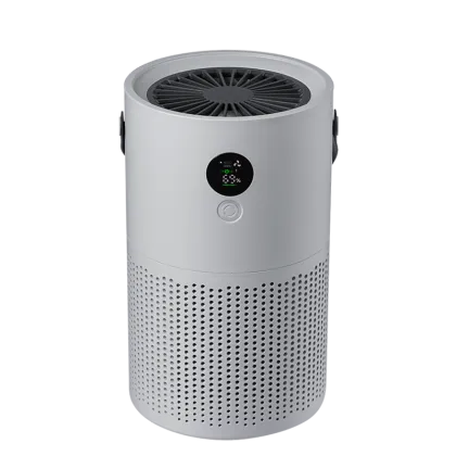 Negative Ion Air Cleaner Ionic Air Purifier Develop