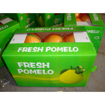 Pomelo fresco delizioso xiamen