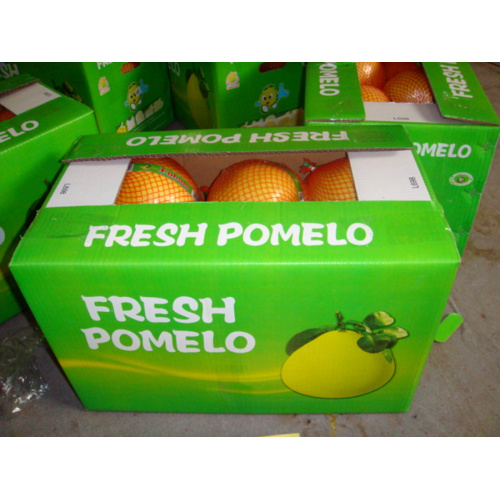 ফোয়ারা xhamen সুস্বাদু pomelo