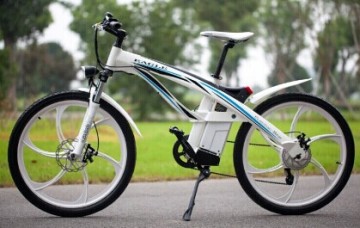Electric Scooter Electric Bike (TDSBD579Z)