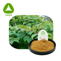 Polydatin Powder CAS 27208-80-6 Giant Knotweed Extract