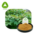 Polydatin-Pulver CAS 27208-80-6 Riesige Knotweiterextrakt