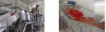 Tomato paste Production Line