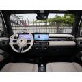 BAIC YY Chinese high speed car EV RWD off-road small electric car