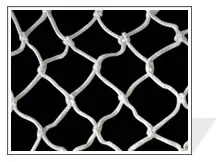 Wire Mesh for Construction Safety
