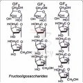 Funktioneller Zuckerfructo-Oligosachharidpulver 95%