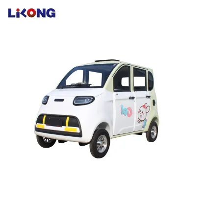 2024 Pure Electric EV Mini Small Car