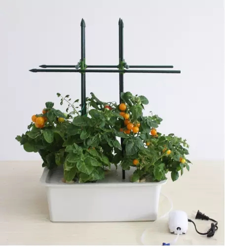 Indoor Garden Box Grow Kit Home Plant