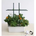 /msite/products/detail/productid/55087958/id/537503.html