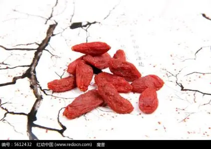 biggest red goji berries top quality wolfberry