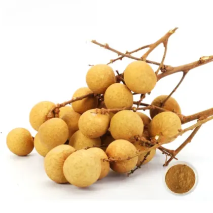 Arillus Longan Extract Powder 100% Natural 10:1