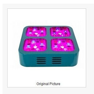 CREE 140W HO LED grow panel