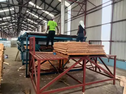 HPV 2 deck 28m veneer dryer