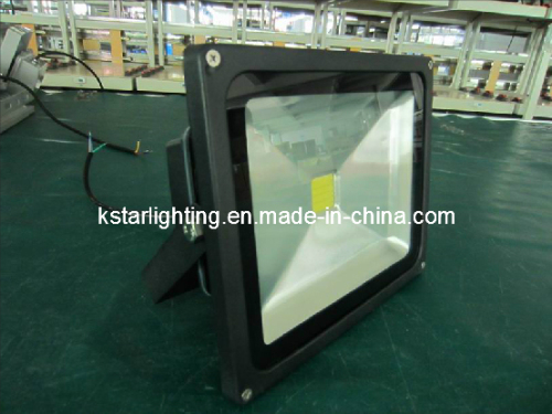 30W Flood Light with Black Body, CE and RoHS