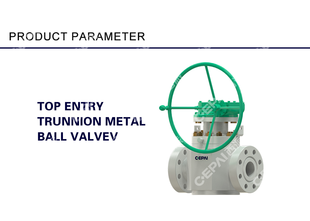 Top Entry Trunnion Metal Ball Valve1-0