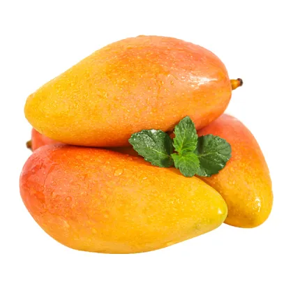 Mango Fruit Powder of Freeze-dried fruit powder