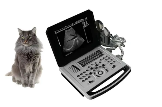 Notebook B Ultrasound Diagnostic Scanner for Animals