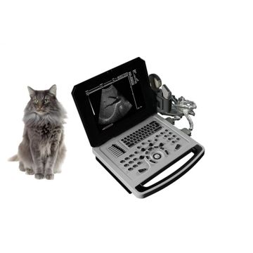 Notebook B Ultraschalldiagnosescanner für Tiere