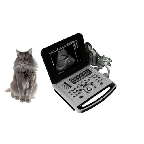 Notável B Ultrassom Scanner de diagnóstico para animais