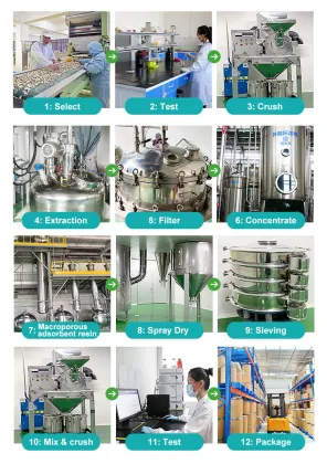 Hot Sale Slimming Essential Oil Ginger Oil