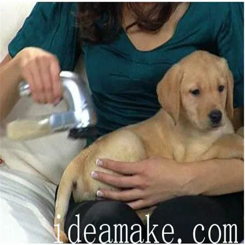 Auto Pet Shaver China Factory Direct