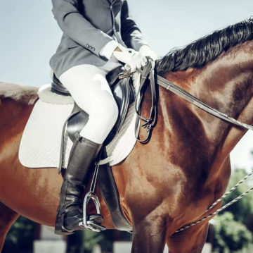 High Performance Athletic Equestrian Socks for Ladies: Enhancing Your Riding Experience