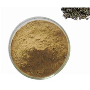 Supplement 98% Jiaogulan Gynostemma Pentaphyllum Extract