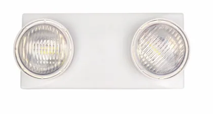 Emergency Lighting Unit with 2 Lights and Battery Backup 220V