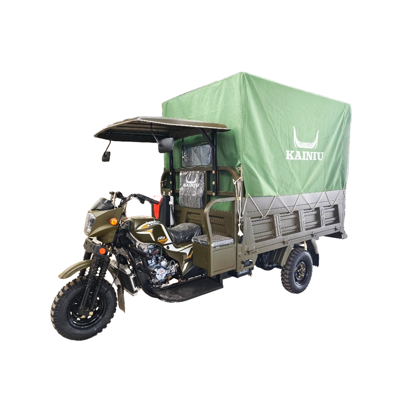 Tricycle Q3 with Cargo Foldable Seat