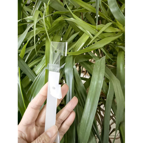 Injection Molding PC Transparent Plastic Parts