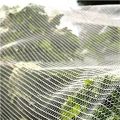 Plant Insect Netting Agricultural fruit fly net, greenhouse insect net Factory