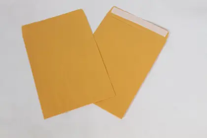 Kraft P&S Envelope
