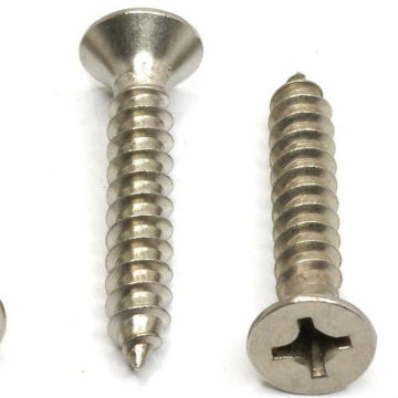 Stainless steel tapping screws with machinery price in china supplier