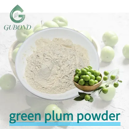 Green Plum Spray Dried Fruit Powder