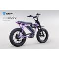 Ebike powerful electric cycles Rocky