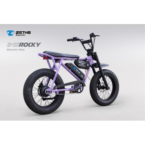 Electric Bicycle for Adults Ebike powerful electric cycles Rocky Factory