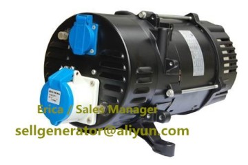 1kw-6kw mini dynamo generator