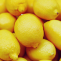 Nouvelle culture Fruits de citron frais de gros prix Prix de gros