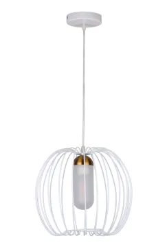 Modern Iron Black and white Birdcage Pendant Light