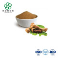 ISO Certified 100% Natural Tamarind Extract Powder Food Grade