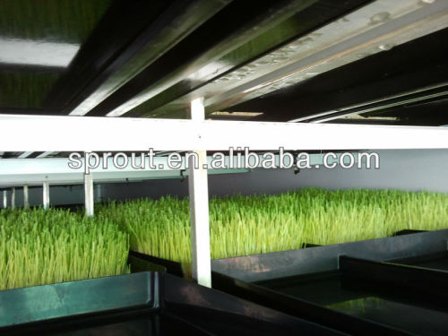 Uncontaminated Farm Poultry Fodder Sprouting Machine