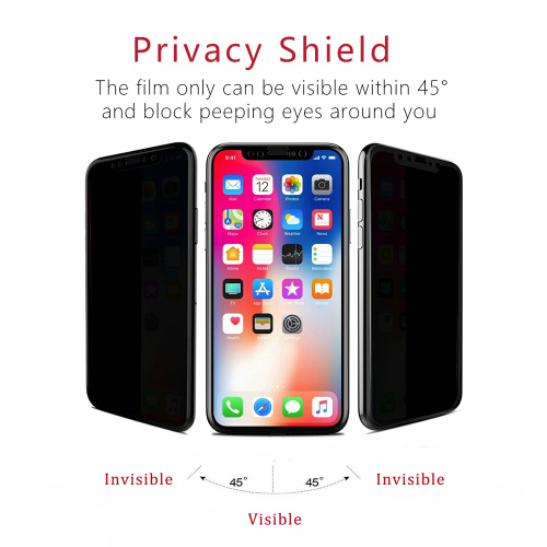 Anti-Spy & Privacy 9H Screen Guard for iX