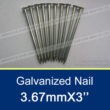 4'' Black Concrete Nail/Galvanized Concrete Nail/BWG8 Concrete Nail