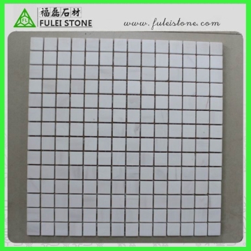 Polished Pure White Mosaic Tile (FLS-907)