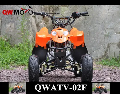 QWMOTO CE 50cc 110cc 125cc China polaris style ATV 110cc Kids polaris ATV